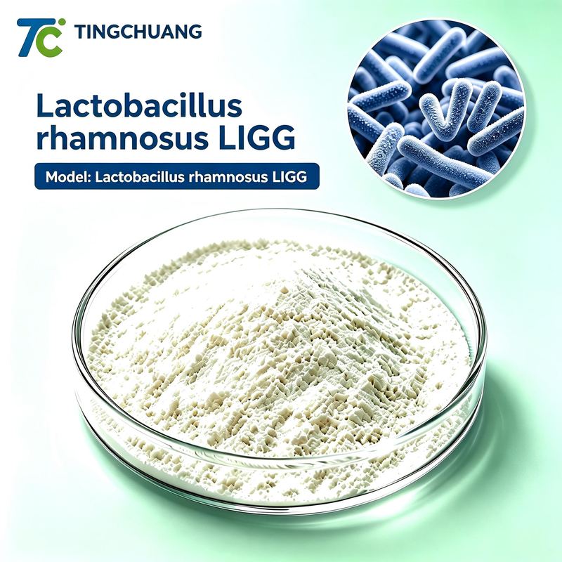 Lactobacillus rhamnosus LIGG