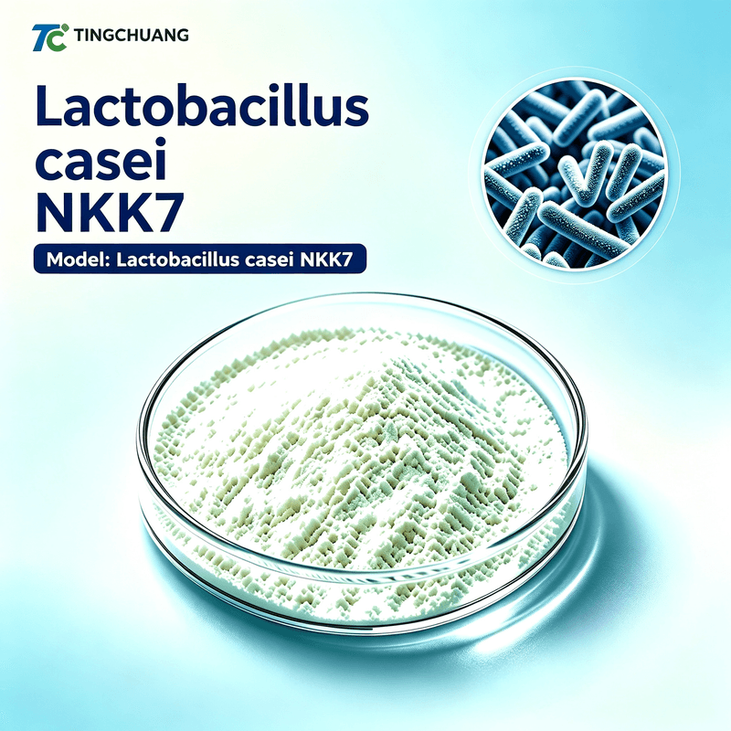 Lactobacillus casei NKK7