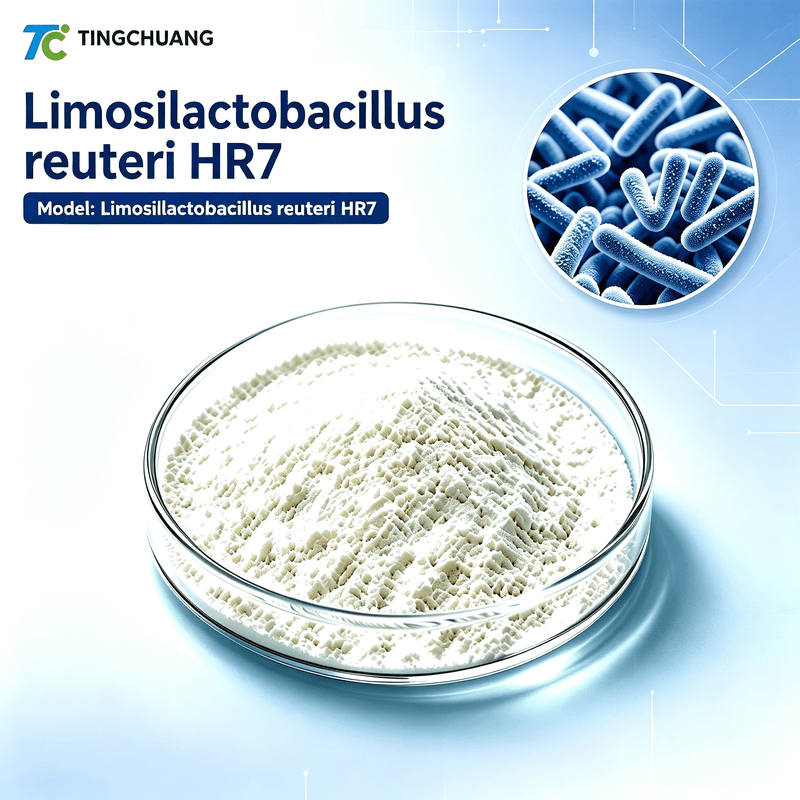 Limosilactobacillus reuteri HR7