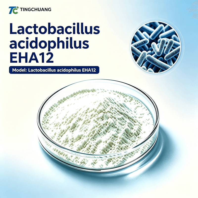 Lactobacillus acidophilus EHA12