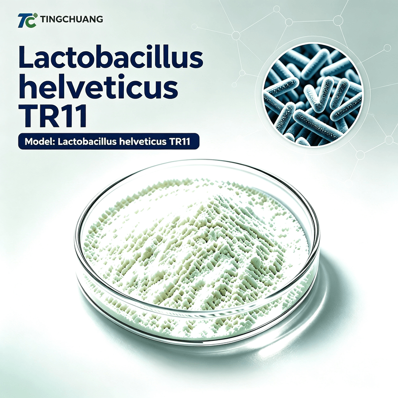 Lactobacillus helveticus TR11