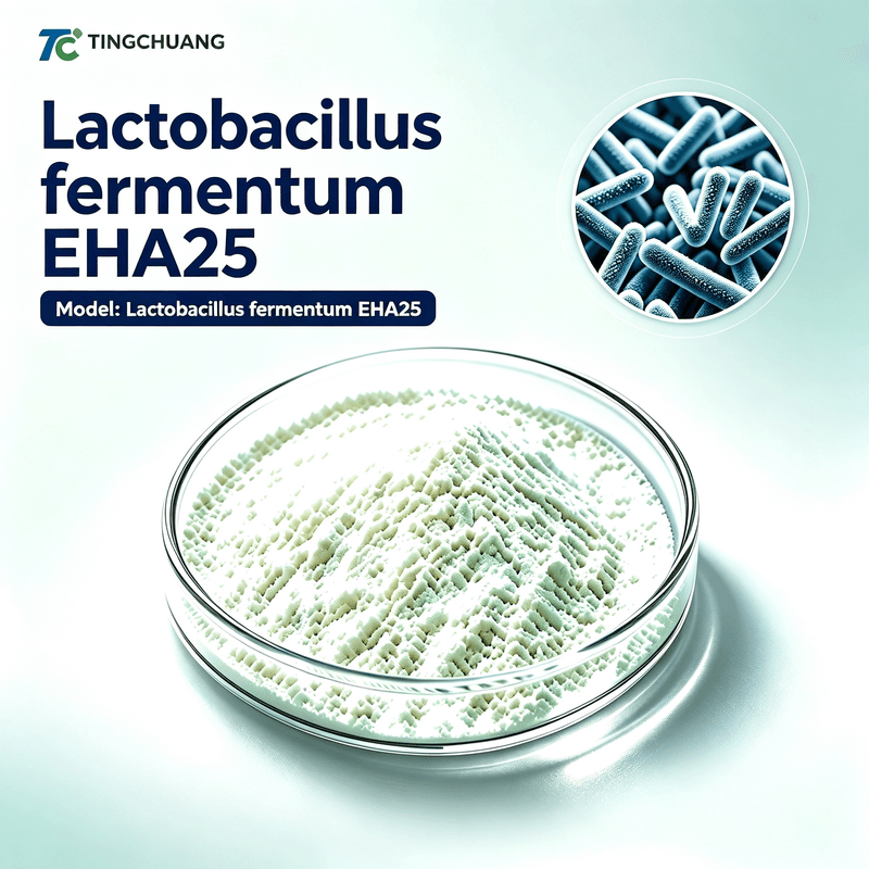 Lactobacillus fermentum EHA25