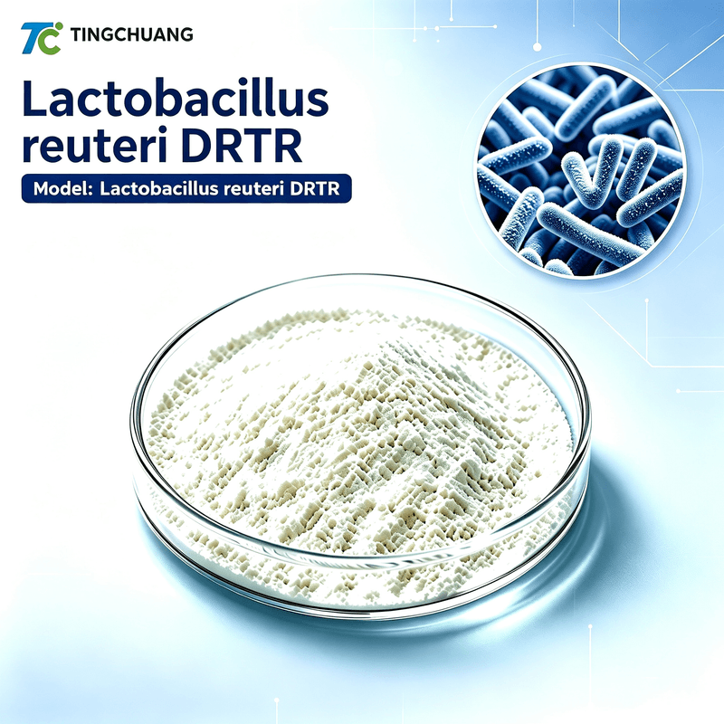 Lactobacillus reuteri DRTR