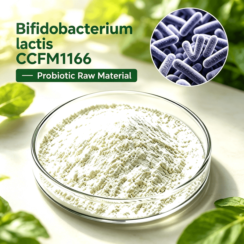 Bifidobacterium bifidum CCFM1166