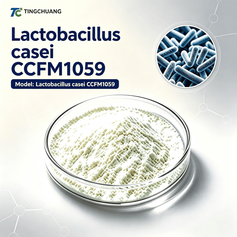 Lactobacillus casei CCFM1059